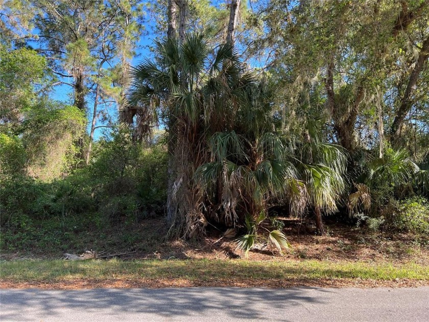 This lot is on a quiet street that would be a great place to - Beach Lot for sale in North Port, Florida on Beachhouse.com