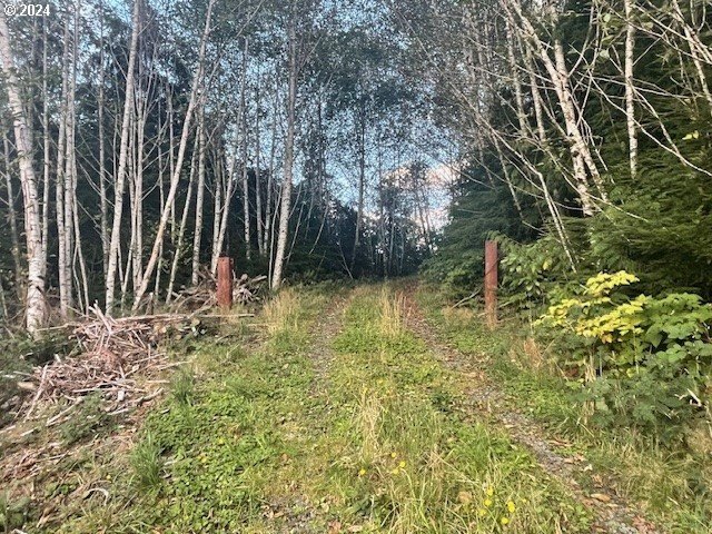 Great opportunity to build your coastal getaway in a forested - Beach Acreage for sale in Seaside, Oregon on Beachhouse.com