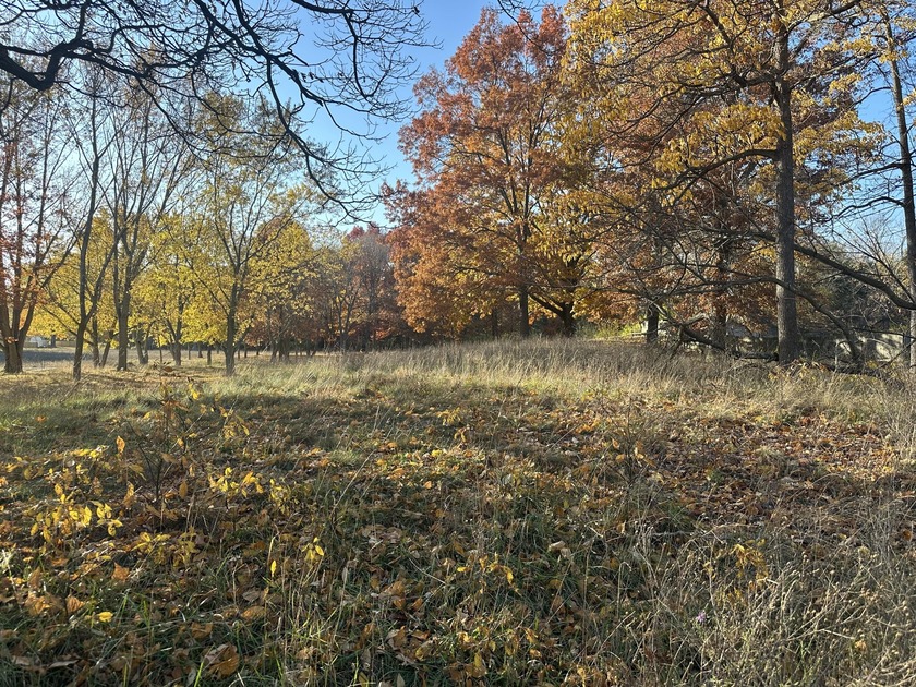 Check out this 1 acre lot located on 160th Ave between Ottawa - Beach Lot for sale in Holland, Michigan on Beachhouse.com