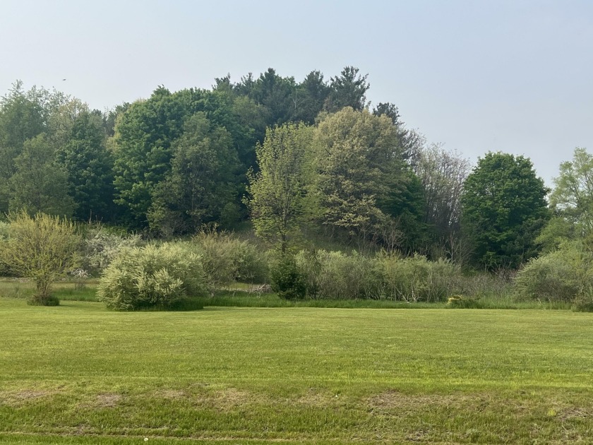 Nice 2 acre building site. Great location just 2 miles to the - Beach Acreage for sale in Shelby, Michigan on Beachhouse.com