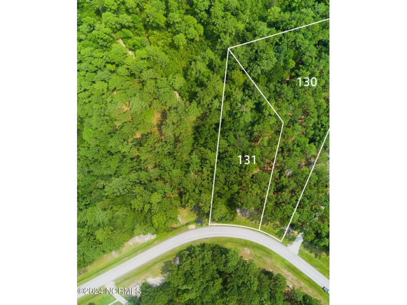 NO FLOOD INSURANCE REQUIRED.  Elevated lot, close to Neuse River - Beach Lot for sale in Minnesott Beach, North Carolina on Beachhouse.com