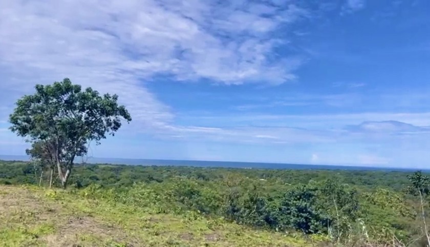 This extraordinary 2.5-hectare property (25,000 SQM) offers a - Beach Lot for sale in Tamarindo,  on Beachhouse.com