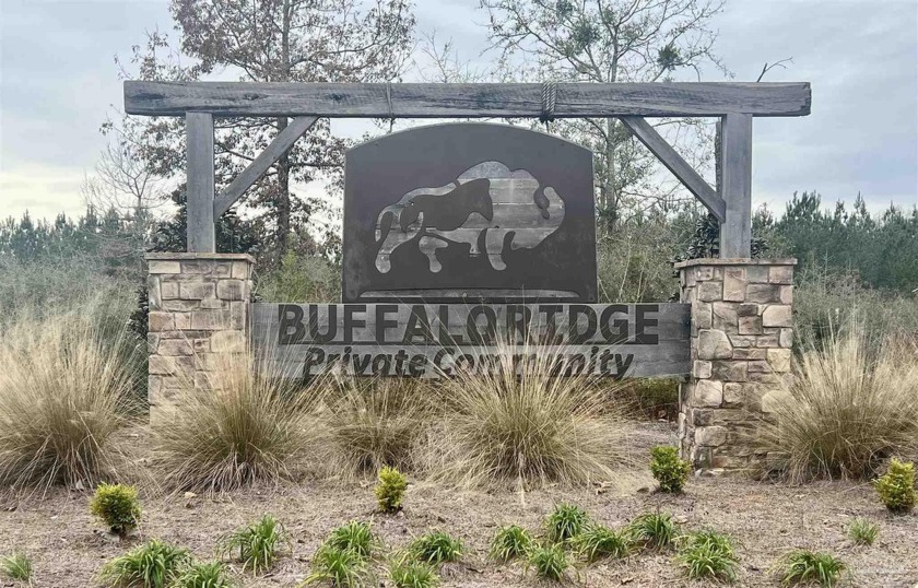 Buffalo Ridge; 27 acres; cleared build site surrounded by a - Beach Acreage for sale in Pace, Florida on Beachhouse.com