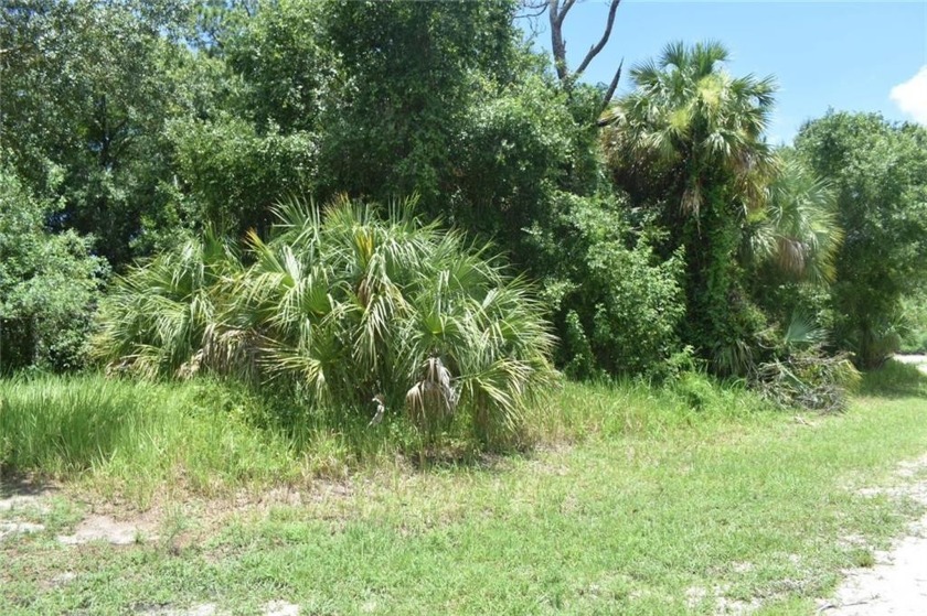 Adjacent Home Available!! Purchase Both today to make almost a - Beach Lot for sale in Vero Beach, Florida on Beachhouse.com