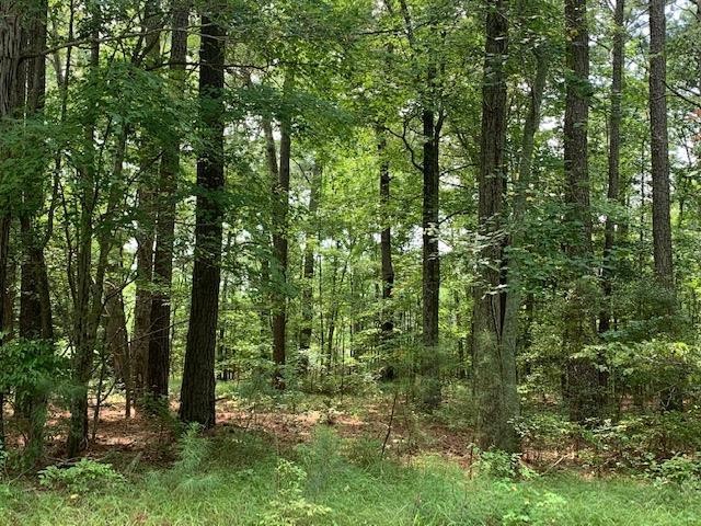 Build your dream home in a bayside subdivision where you can - Beach Lot for sale in Jamesville, Virginia on Beachhouse.com