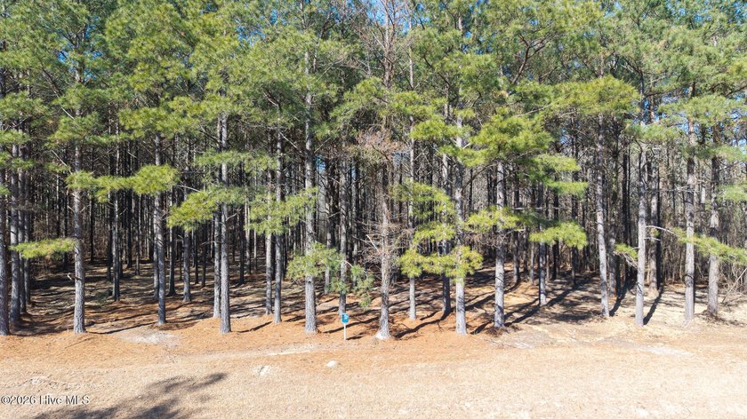 Located in the gated community of Riversound, along the Yeopim - Beach Lot for sale in Edenton, North Carolina on Beachhouse.com