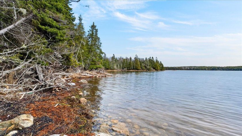 Waterfront lot on Dyer Bay in Steuben, Maine, offering - Beach Acreage for sale in Steuben, Maine on Beachhouse.com
