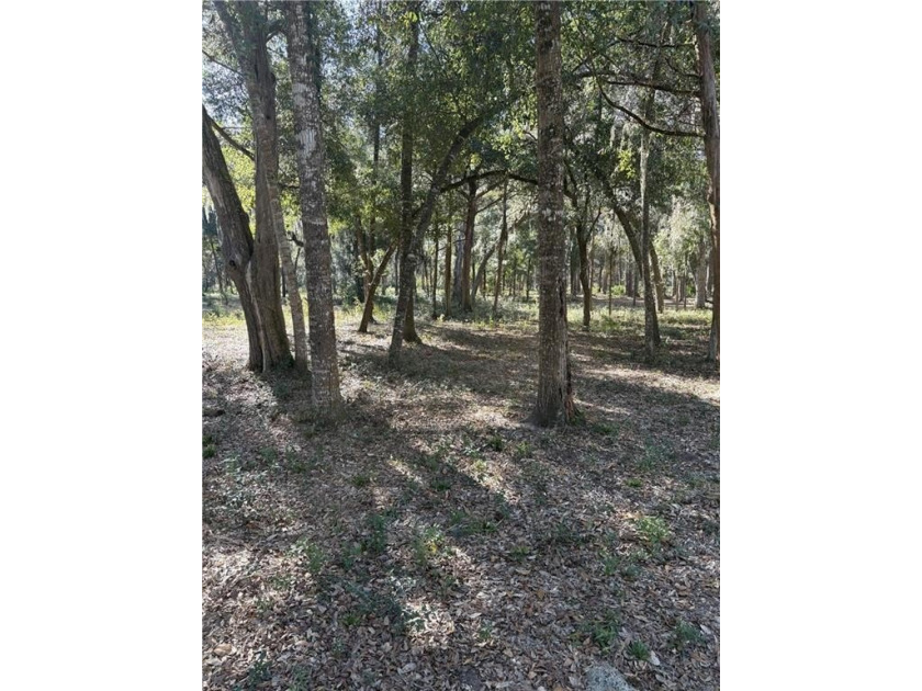 Beautiful lot in Fancy Bluff Subdivision.  Minutes from the - Beach Lot for sale in Brunswick, Georgia on Beachhouse.com