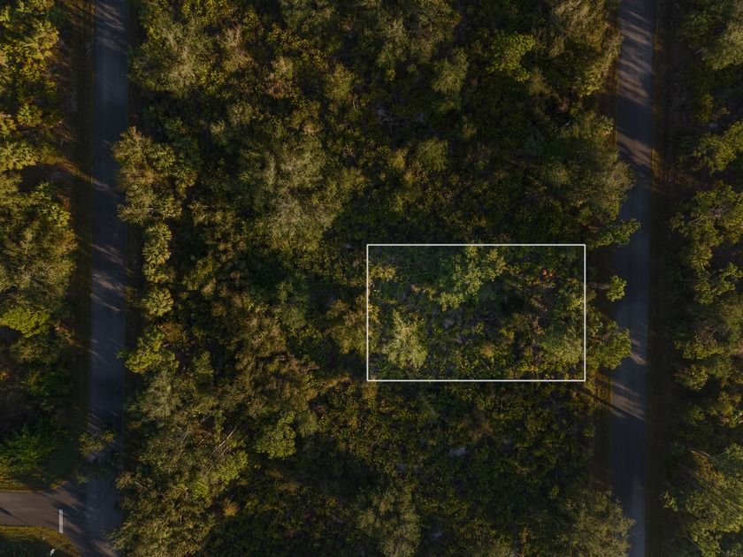 Discover the perfect spot to build your dream home in beautiful - Beach Lot for sale in Port Charlotte, Florida on Beachhouse.com