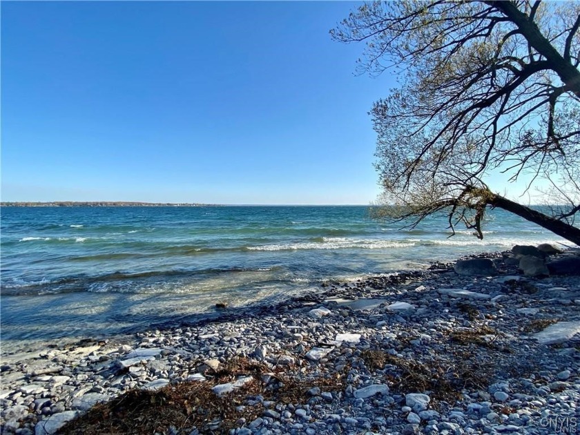 Check out this gorgeous 5-acre waterfront lot overlooking Lake - Beach Acreage for sale in Lyme, New York on Beachhouse.com