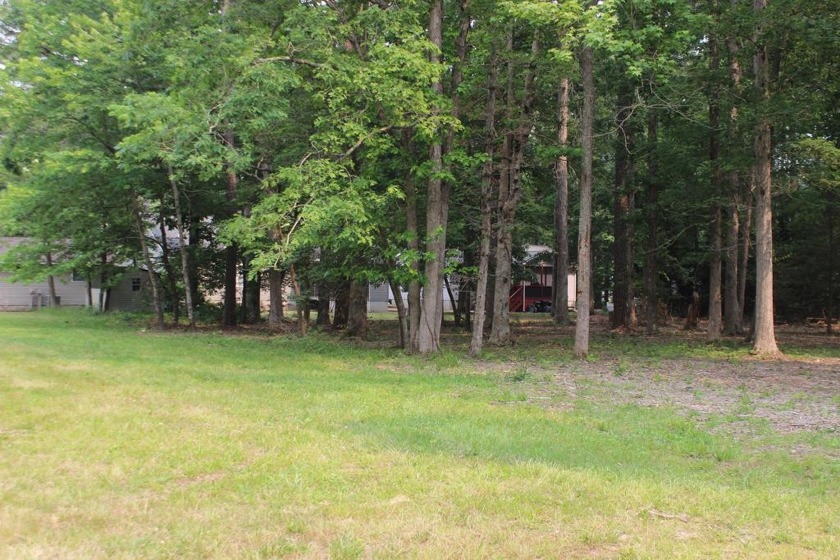 4/1982 Oversized, wooded lot with water availability. This lot - Beach Lot for sale in Greenbackville, Virginia on Beachhouse.com