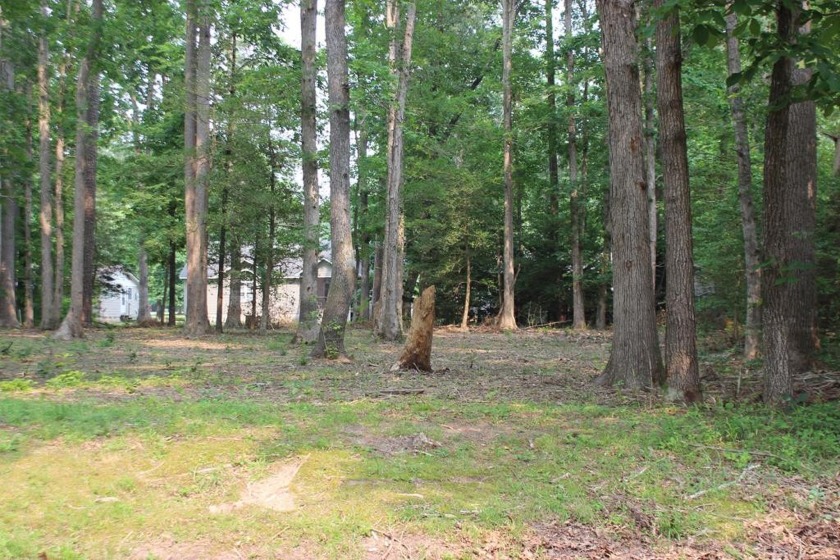 4/1984 Oversized, wooded lot with water availability. This lot - Beach Lot for sale in Greenbackville, Virginia on Beachhouse.com