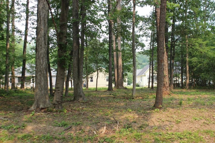 4/1988 Oversized, wooded lot with water availability. This lot - Beach Lot for sale in Greenbackville, Virginia on Beachhouse.com