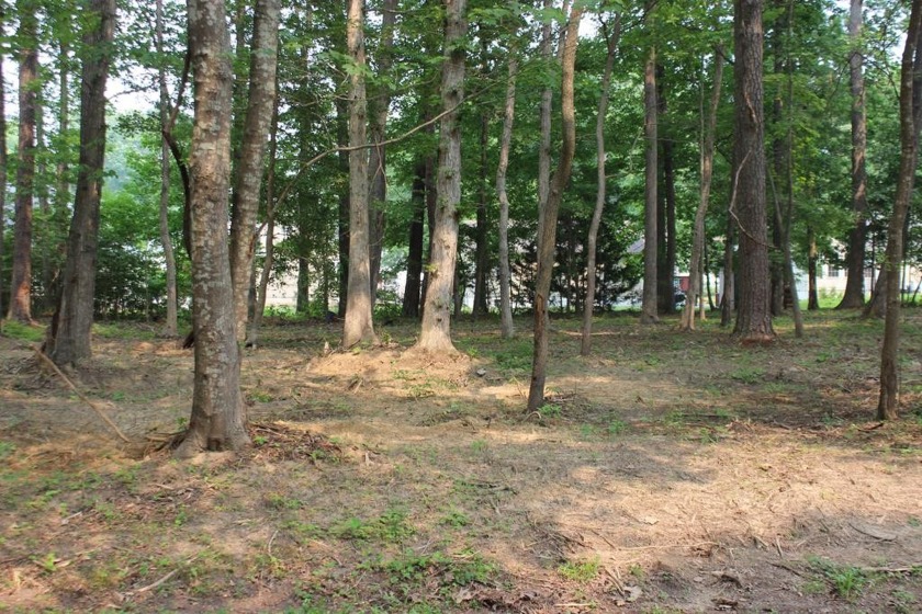 4/1991 Wooded lot with water availability. This lot is in a - Beach Lot for sale in Greenbackville, Virginia on Beachhouse.com
