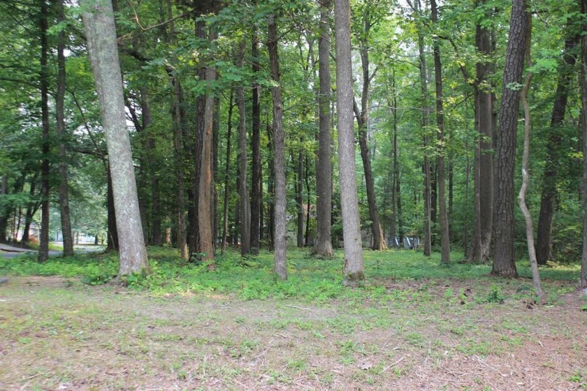 4/2040 Wooded, corner lot with water availability. This lot is - Beach Lot for sale in Greenbackville, Virginia on Beachhouse.com