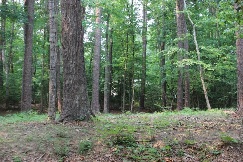 4/2056 Wooded lot with water availability. This lot is in a - Beach Lot for sale in Greenbackville, Virginia on Beachhouse.com