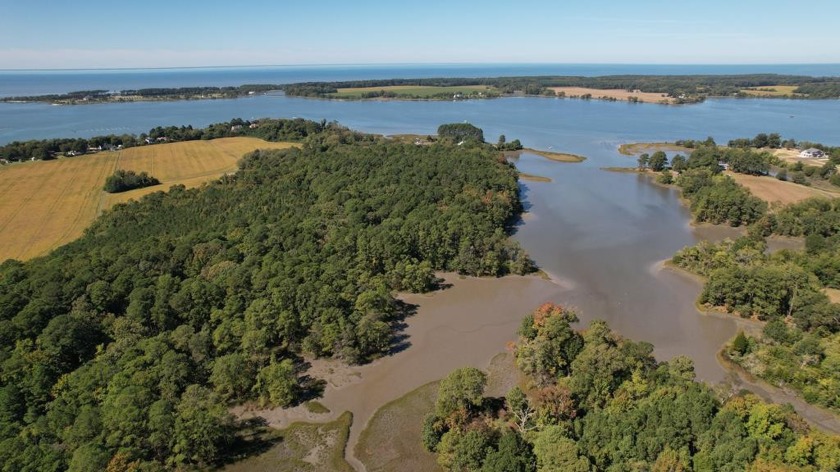 Located just north of the Town of Cape Charles, this property - Beach Acreage for sale in Cape Charles, Virginia on Beachhouse.com
