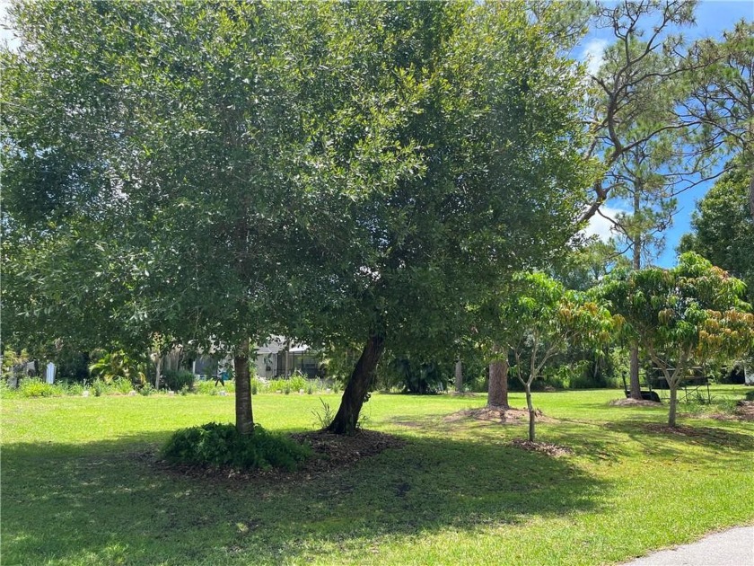 One of three adjacent lots available in Lakewood Terrace. Ready - Beach Lot for sale in Vero Beach, Florida on Beachhouse.com