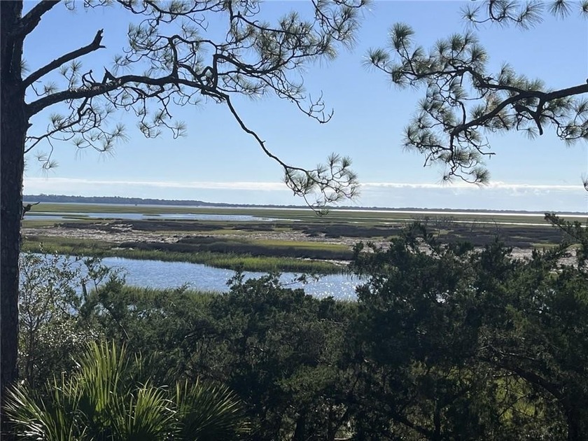 Wakeup to gorgeous sunrises over Cumberland Island with this - Beach Lot for sale in Saint Marys, Georgia on Beachhouse.com