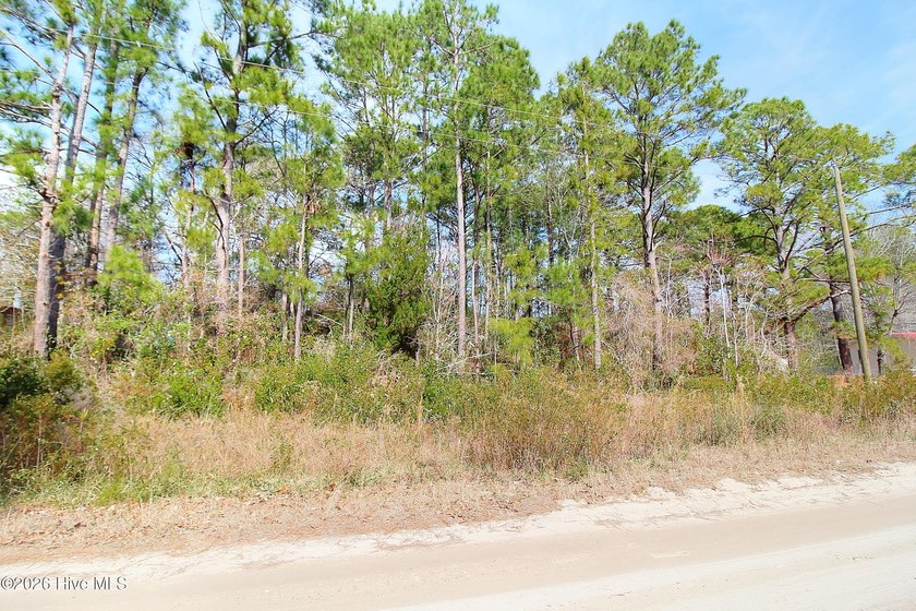 The perfect spot for your coastal getaway or future homesite in - Beach Lot for sale in Shallotte, North Carolina on Beachhouse.com