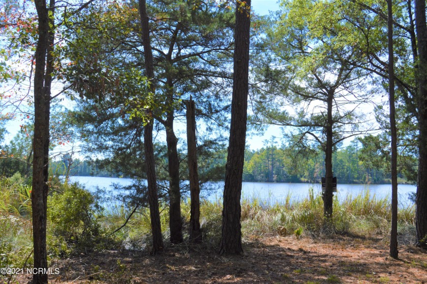 Gorgeous waterfront lot in The Cloisters at Kershaw Creek is - Beach Lot for sale in Oriental, North Carolina on Beachhouse.com