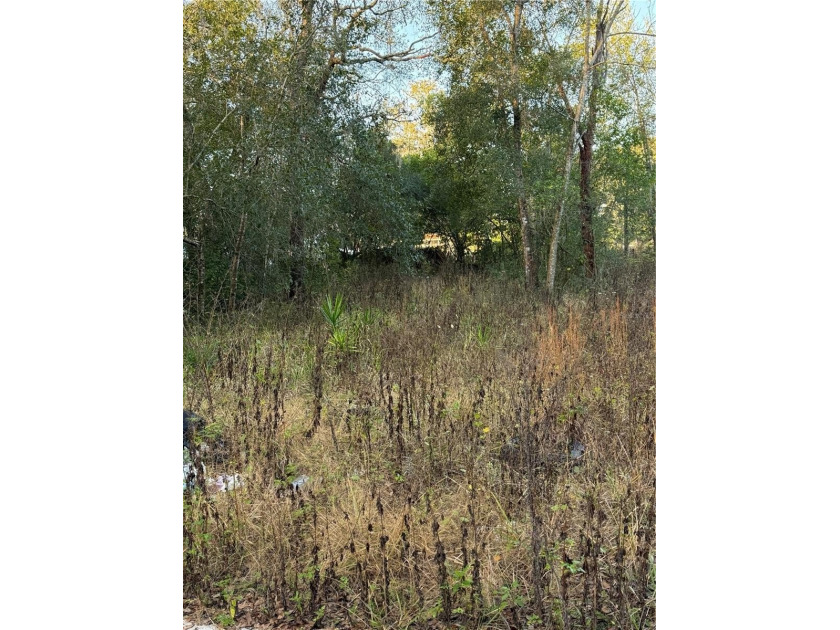 This is a great piece of land for you to build on. Land is - Beach Lot for sale in New Port Richey, Florida on Beachhouse.com