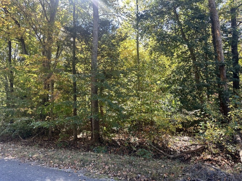 This lot is a tranquil retreat for a vacation or permanent home - Beach Lot for sale in Montross, Virginia on Beachhouse.com