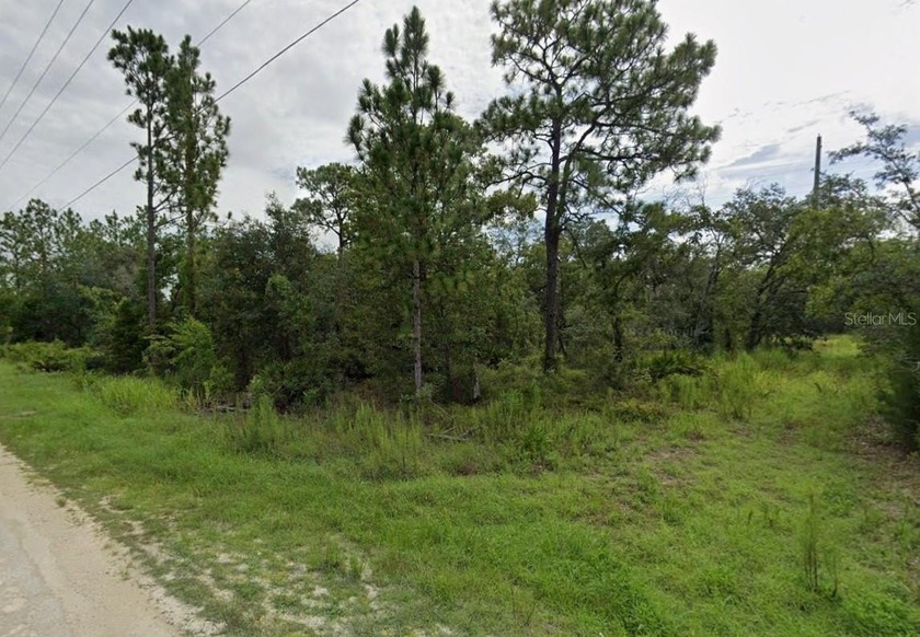 COME BUILD YOUR DREAM HOME! Vacant lot on almost 1/2 acre in the - Beach Lot for sale in Weeki Wachee, Florida on Beachhouse.com