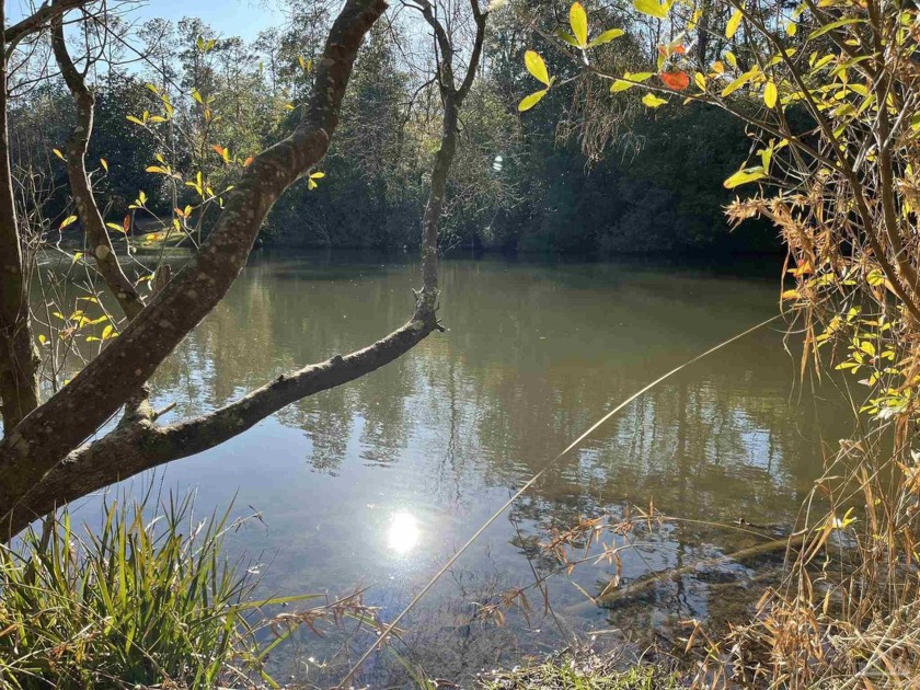 Large lakefront homesite in established, upscale Thousand Oaks - Beach Lot for sale in Pensacola, Florida on Beachhouse.com