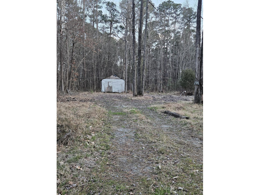 3 Lots ( 42, 43 &44) 1 great price!! located in Holiday Island - Beach Lot for sale in Hertford, North Carolina on Beachhouse.com