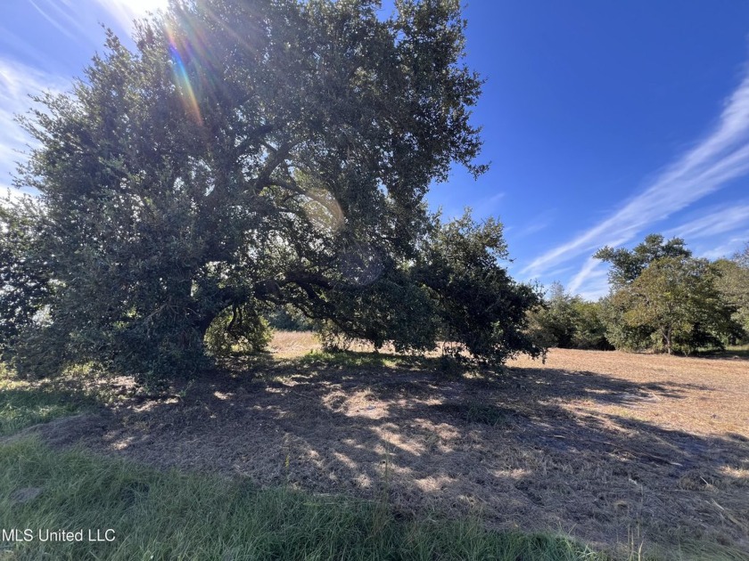 This Beautiful lot has just been cleared. This 142 x 151 lot has - Beach Lot for sale in Bay Saint Louis, Mississippi on Beachhouse.com