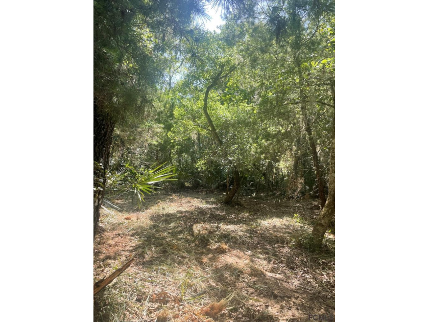 Incredible 10+ acre parcel in very private area of executive - Beach Acreage for sale in Flagler Beach, Florida on Beachhouse.com