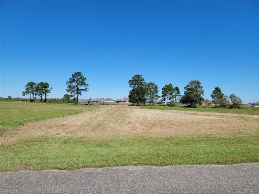 Are you looking for a large, level cleared lot to build your - Beach Lot for sale in Theodore, Alabama on Beachhouse.com