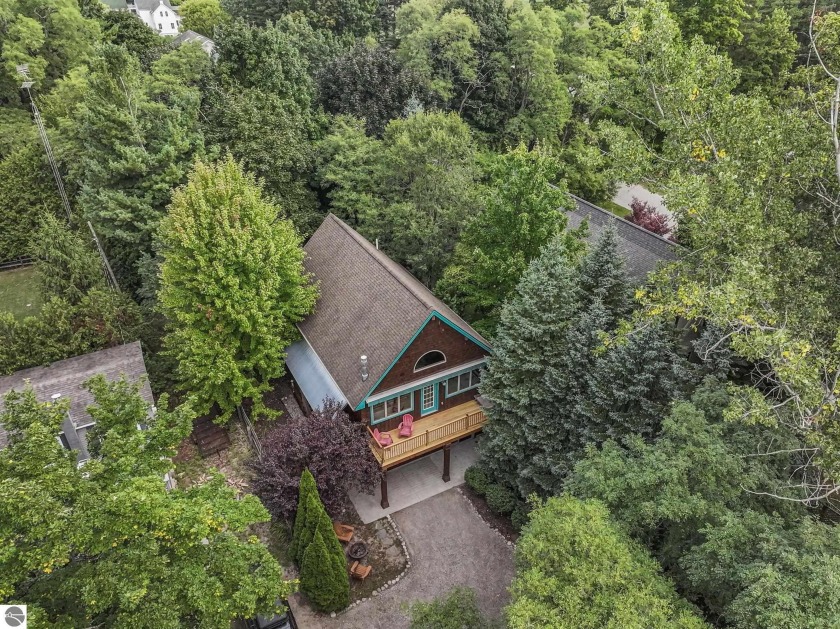 Enjoy living in downtown Leland!  This inviting bi-level home - Beach Home for sale in Leland, Michigan on Beachhouse.com