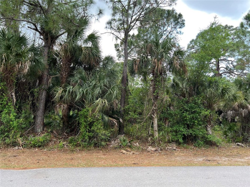 This 20,000 square foot double lot on a quiet street that would - Beach Lot for sale in North Port, Florida on Beachhouse.com