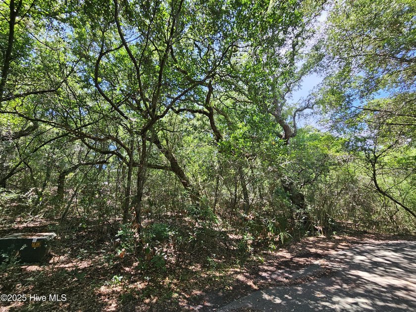 Located on a secluded Maritime Forest circle is the lot at 5 - Beach Lot for sale in Bald Head Island, North Carolina on Beachhouse.com