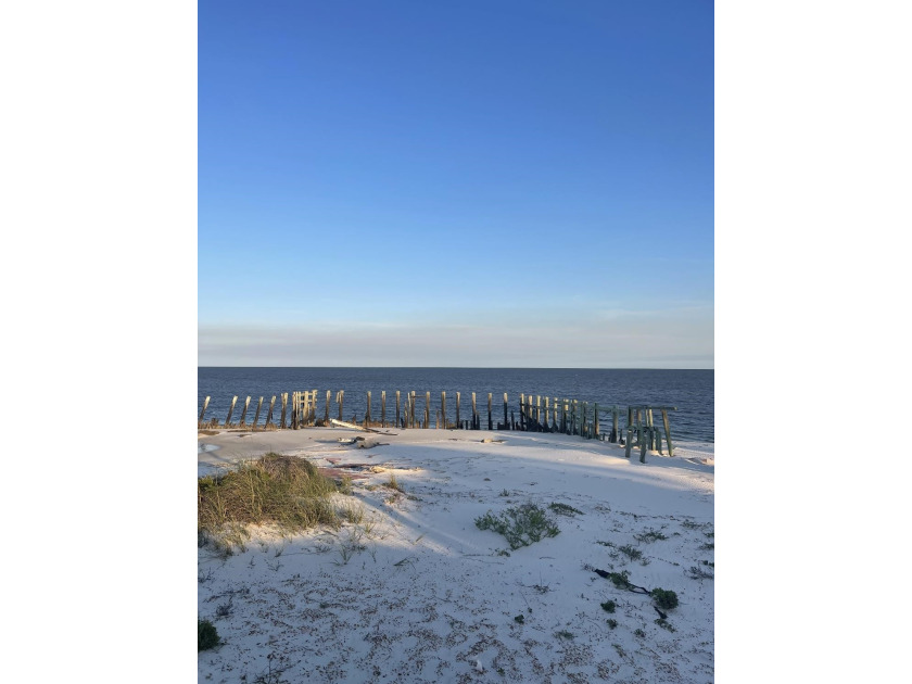 Beautiful beach front lot on Alligator Point! Build your dream - Beach Lot for sale in Alligator Point, Florida on Beachhouse.com
