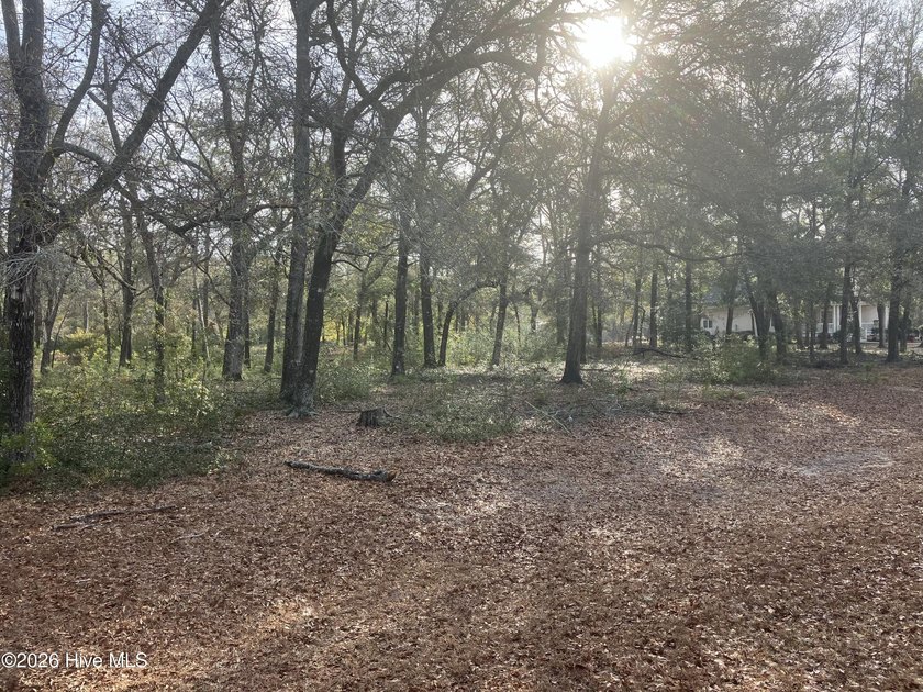 Presenting a beautiful 0.69-acre pond-front homesite nestled - Beach Lot for sale in Supply, North Carolina on Beachhouse.com