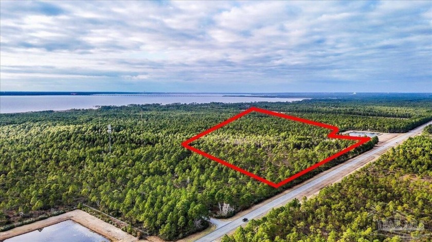 Welcome to 37.33 Acres of natural woodlands on Avalon Blvd - Beach Acreage for sale in Milton, Florida on Beachhouse.com