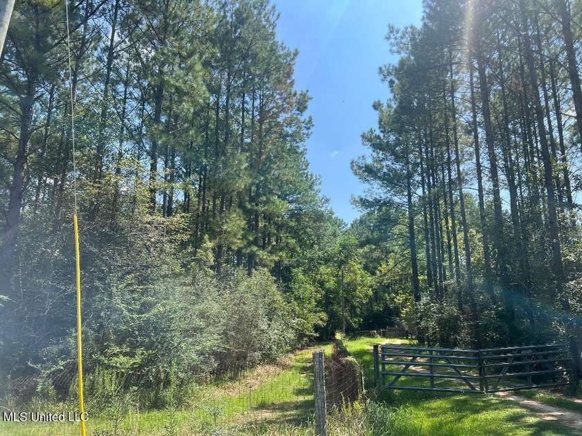 A rare 60+ acre holding in the fast-growing Vancleave/Ocean - Beach Acreage for sale in Ocean Springs, Mississippi on Beachhouse.com