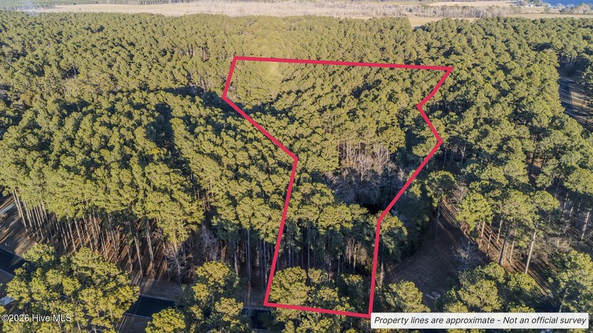 Rare opportunity to own a 2.4-acre homesite just minutes from - Beach Acreage for sale in Oriental, North Carolina on Beachhouse.com