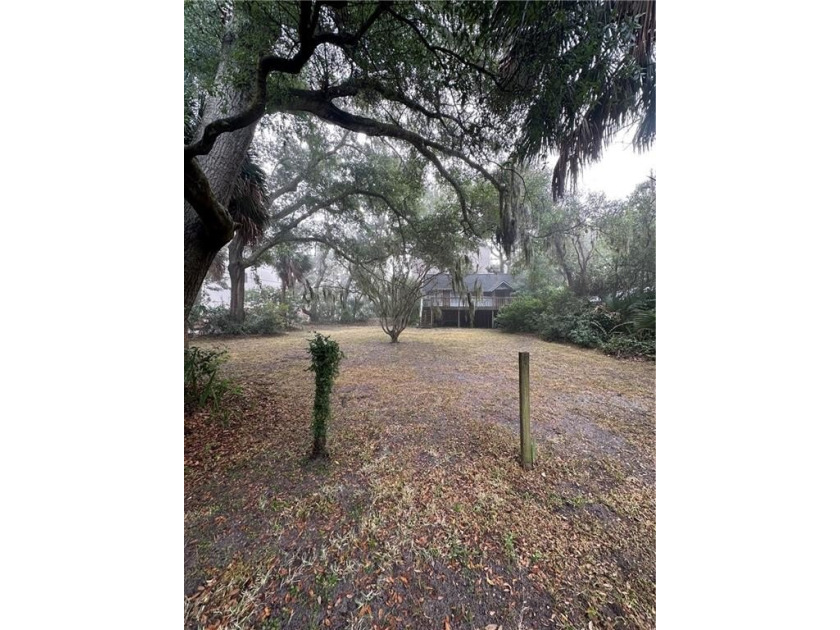 Perfectly positioned in the heart of the South End of St. Simons - Beach Home for sale in Saint Simons, Georgia on Beachhouse.com