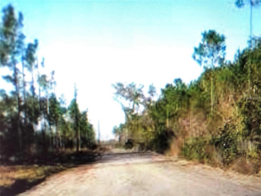 Available for sale 35.5 acres lot has 2,769 ft. frontage on - Beach Acreage for sale in Perry, Florida on Beachhouse.com