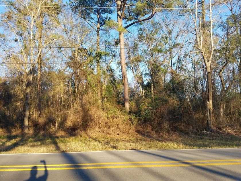 Wooded lot with awesome view of neighbors property with a pond - Beach Lot for sale in Gulfport, Mississippi on Beachhouse.com
