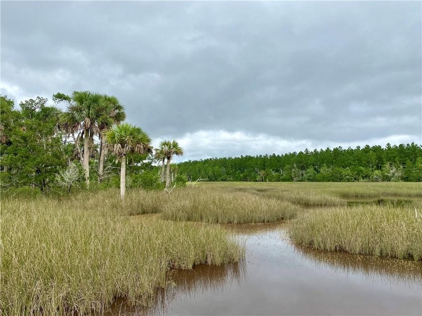 GORGEOUS WATERFRONT & MARSHFRONT PROPERTY on 6.58 ACRES!!! This - Beach Acreage for sale in Brunswick, Georgia on Beachhouse.com