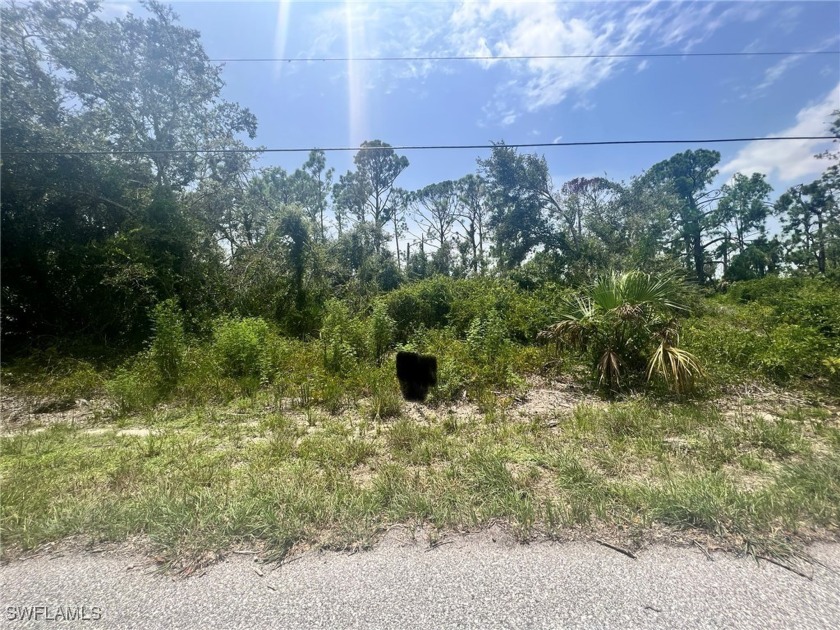 *Fantastic opportunity! This lot is located in the beautiful - Beach Lot for sale in Port Charlotte, Florida on Beachhouse.com