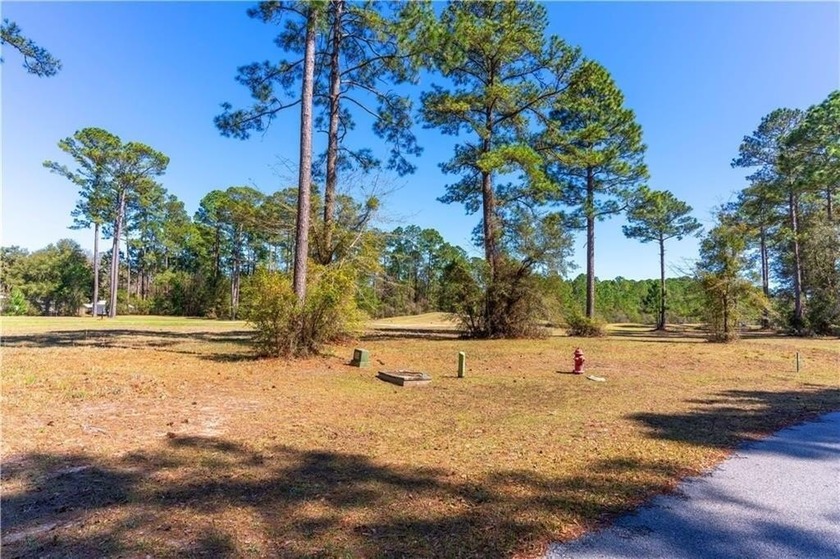 Beautiful lot sits nestled on the Sapelo Hammock golf course in - Beach Lot for sale in Townsend, Georgia on Beachhouse.com
