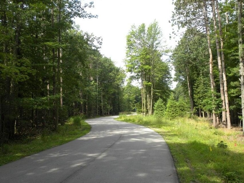 Have you been dreaming of building your forever home? This - Beach Acreage for sale in West Olive, Michigan on Beachhouse.com