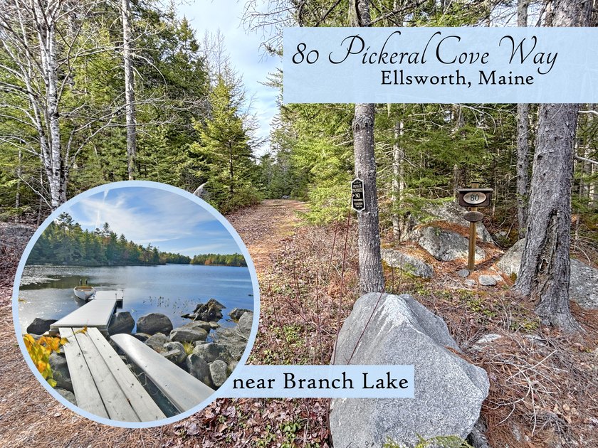 A level of solitude that can take years to find resides here - Beach Acreage for sale in Ellsworth, Maine on Beachhouse.com