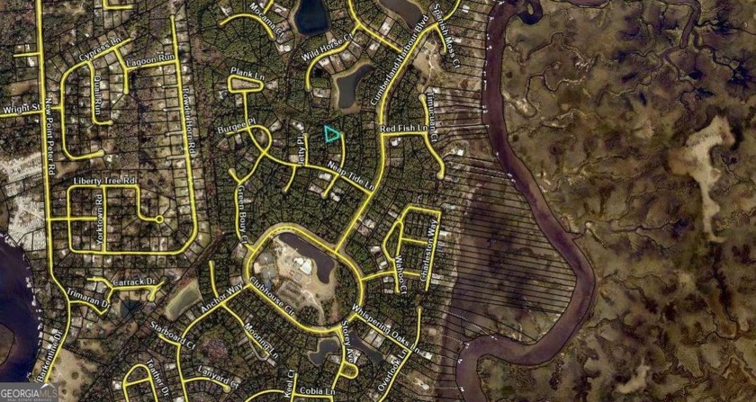 Discover this beautiful building lot ideally located on Gamefish - Beach Lot for sale in Saint Marys, Georgia on Beachhouse.com